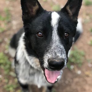 Meet your Posher, Jacob